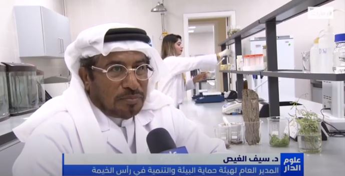 Oloom Al Dar 14.08.2020 Scientific studies of the Environment Agency reveal the high nutritional value of Ghaf leaves