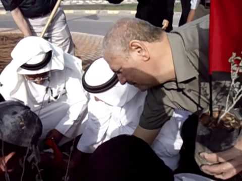 Read more about the article Initiative best environmental practices in Ras Al Khaimah