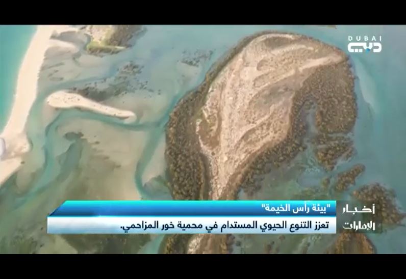 Read more about the article Khor Muzahmi