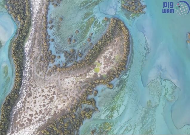 Read more about the article WAM: Khor Muzahmi Report