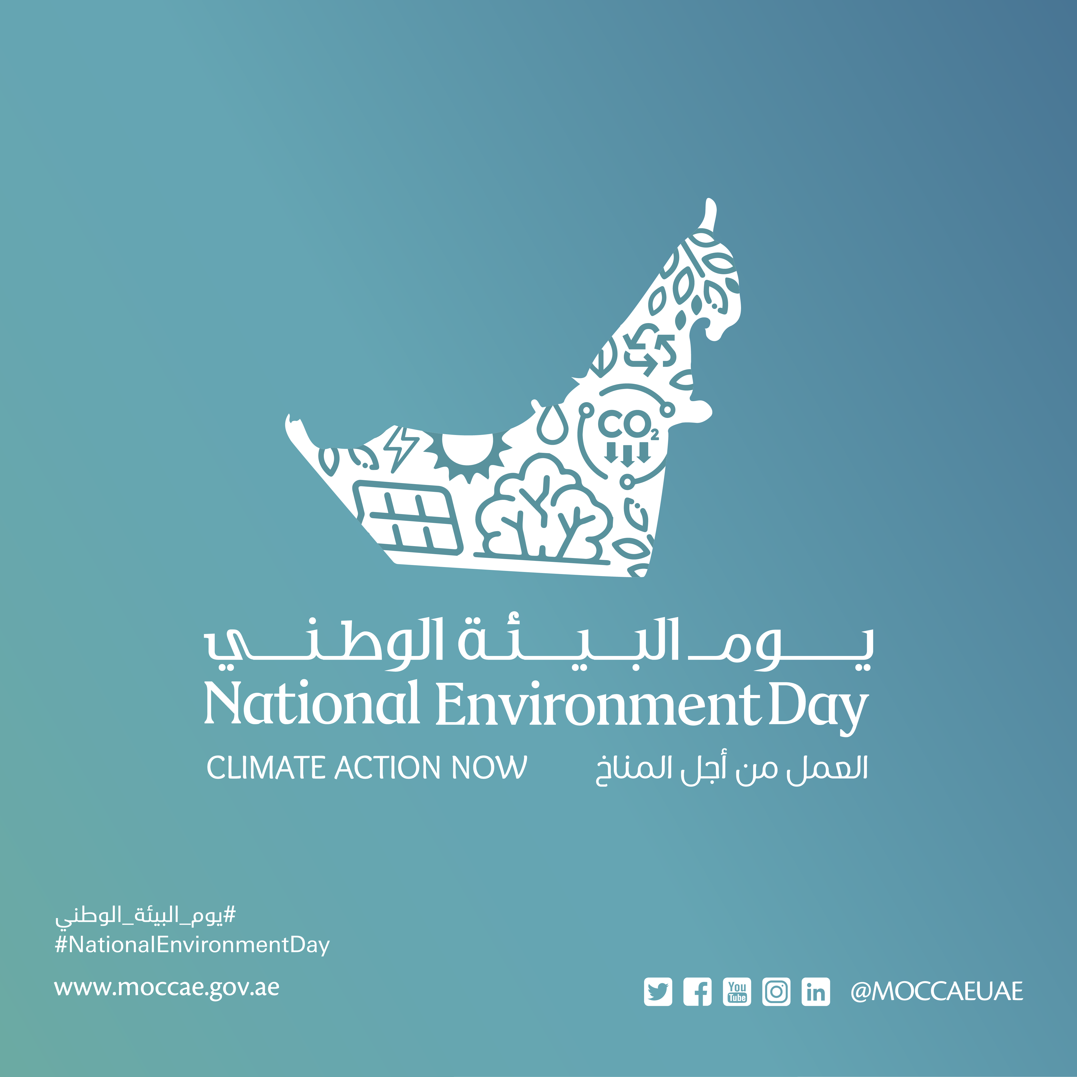 Read more about the article National Environment Day
