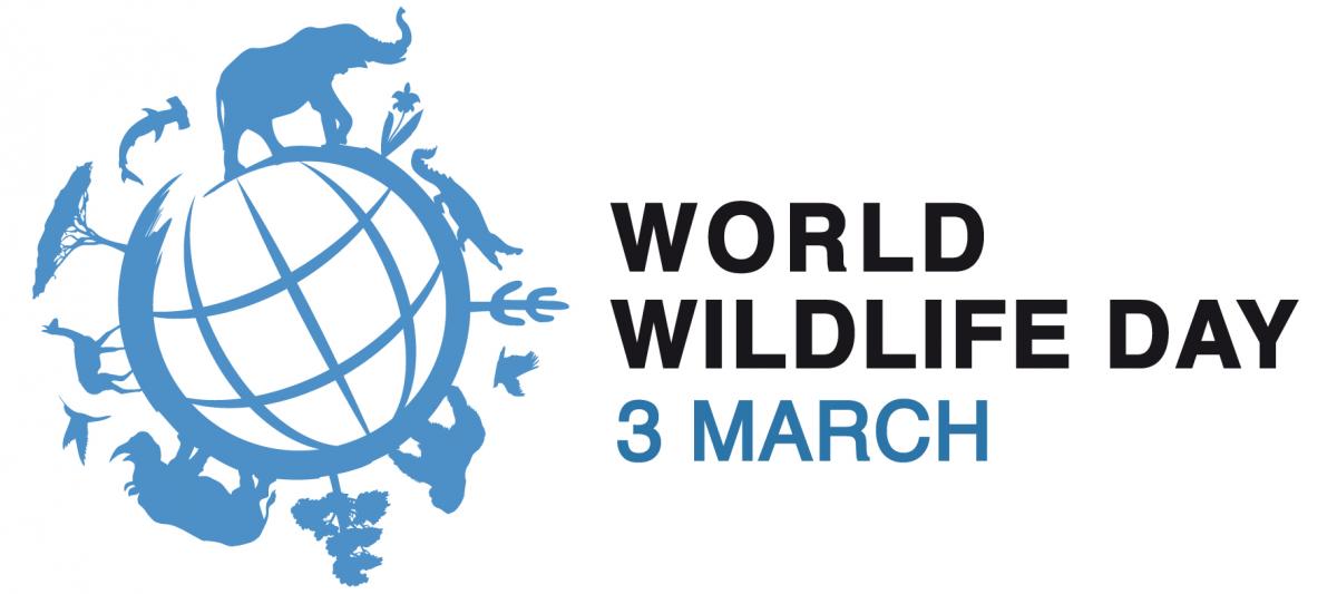 Read more about the article World Wildlife Day