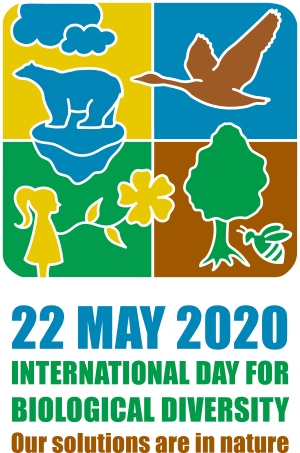 Read more about the article International Biodiversity Day