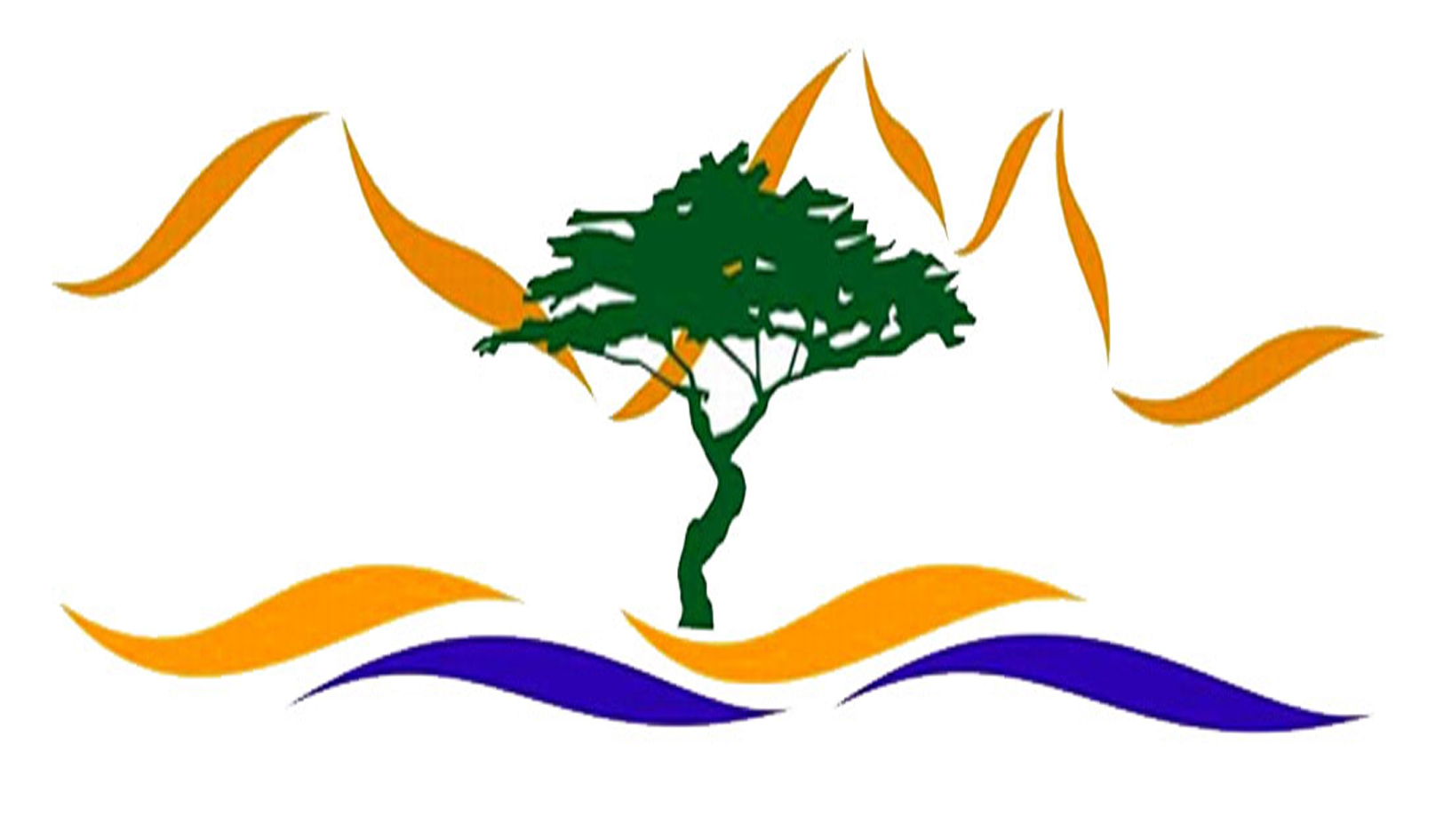 Read more about the article Removing hives due to their proximity to schools