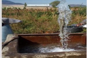 Read more about the article Farm caught illegally selling groundwater in Ras Al Khaimah