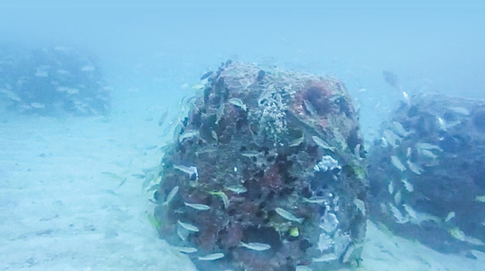 Read more about the article 970 artificial caves underwater in Ras Al Khaimah