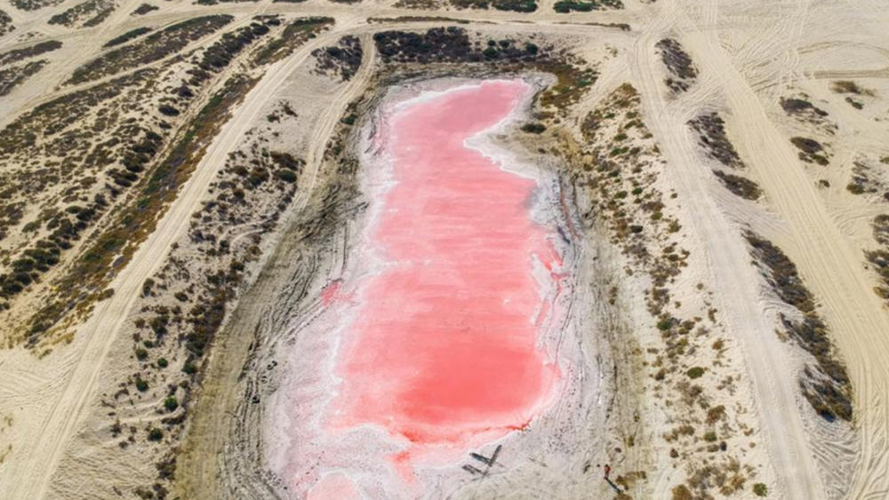 Read more about the article Mystery behind Ras Al Khaimah’s pink lake solved