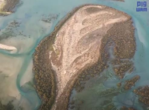 Read more about the article The Ras Al Khaimah Environment promotes sustainable biodiversity in the Khor Al-Muzahmi Protected Area