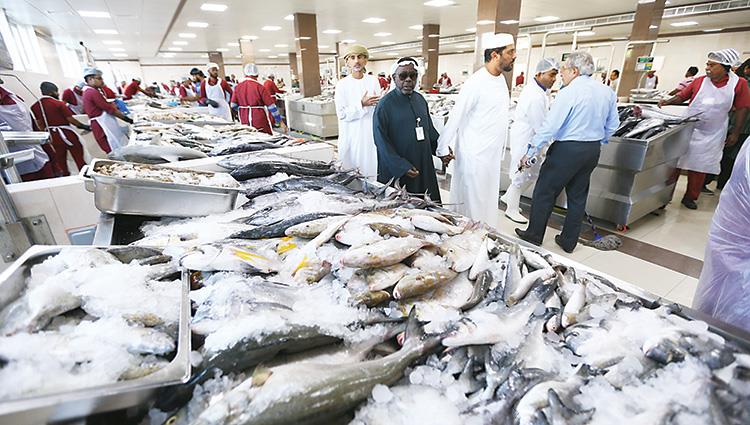 Read more about the article 1400 citizens maintain the fishing profession in Ras Al-Khaimah