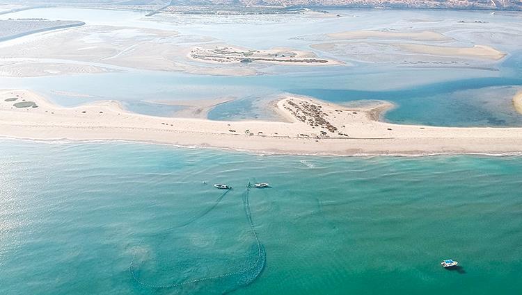 Read more about the article EPDA Tightens Mentoring on Creeks and Fishing Ports.