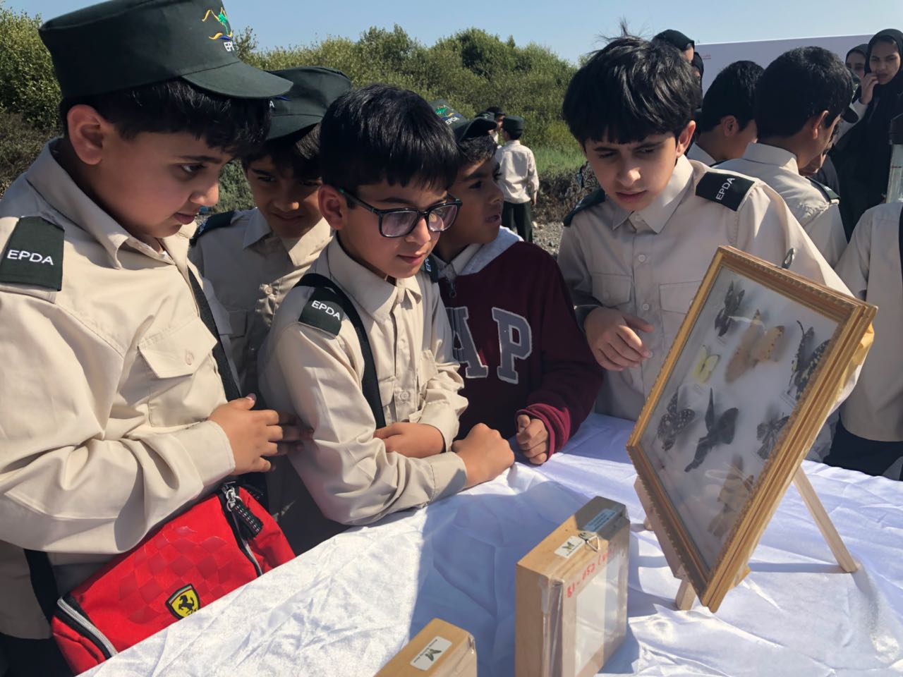 Read more about the article Launching of the second session of Environment Protectors Teams in Ras Al Khaimah