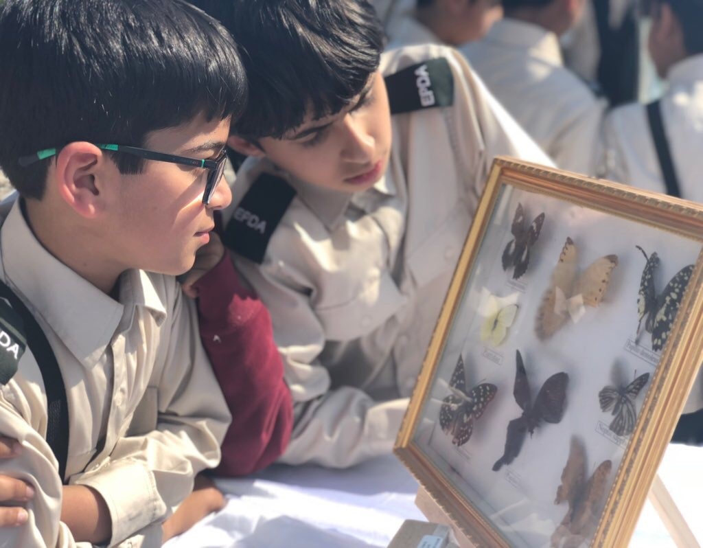 Read more about the article Environmental Researcher workshop