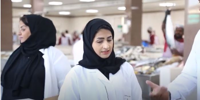 Read more about the article Summary of the achievements of the EPDA 2019